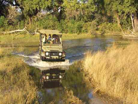 Affordable Chobe & Okavango Safari
